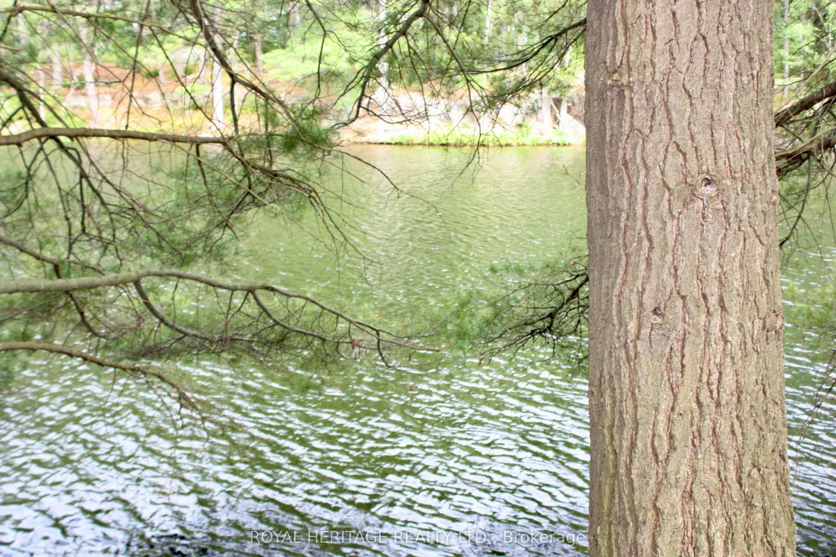 N/A-WAO Kasshabog Lake N/A, ON K0L 2H0