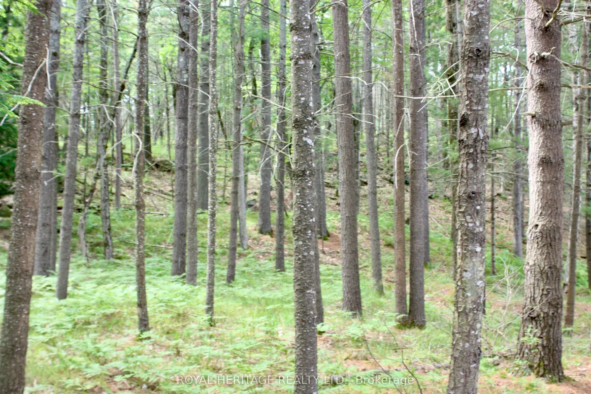 N/A-WAO Kasshabog Lake N/A, ON K0L 2H0