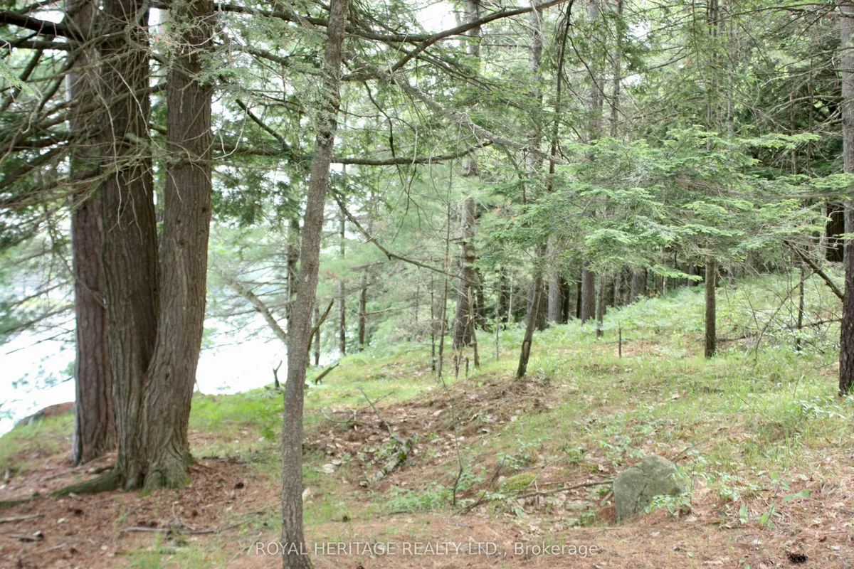 N/A-WAO Kasshabog Lake N/A, ON K0L 2H0