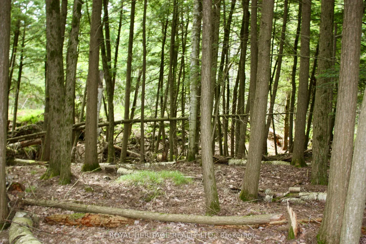 N/A-WAO Kasshabog Lake N/A, ON K0L 2H0