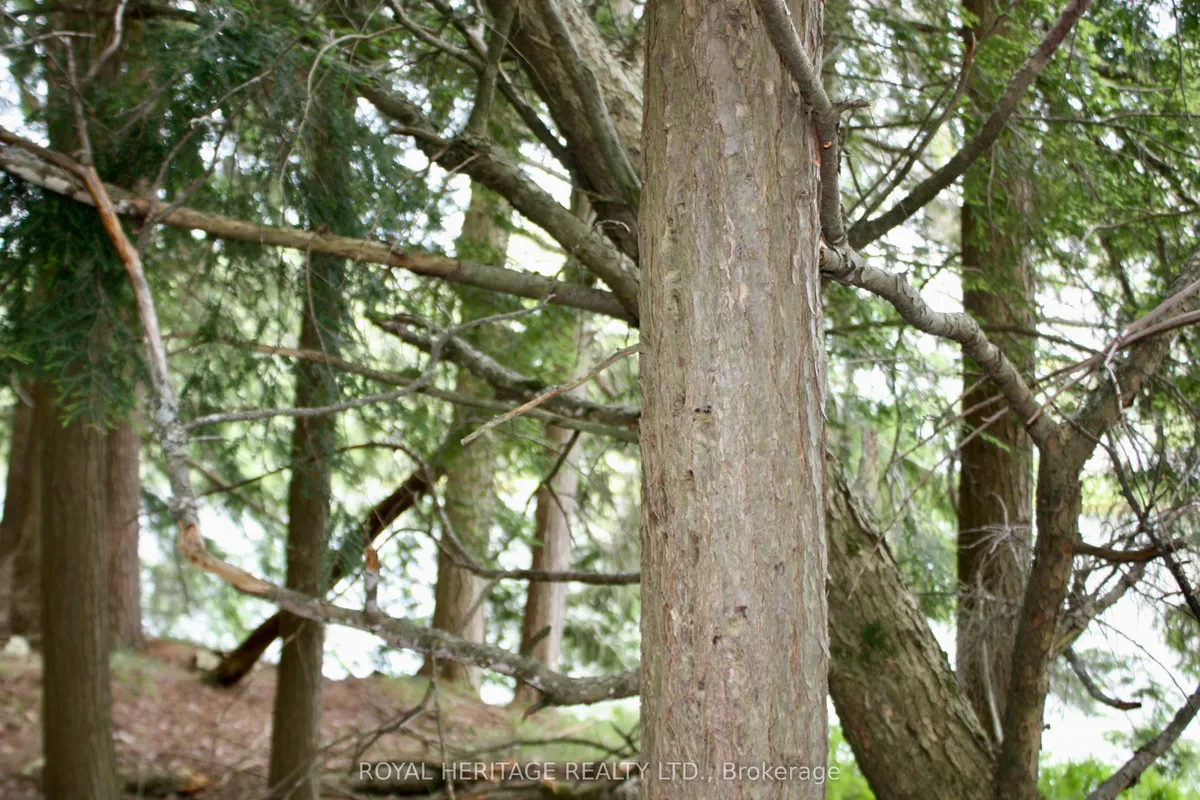 N/A-WAO Kasshabog Lake N/A, ON K0L 2H0