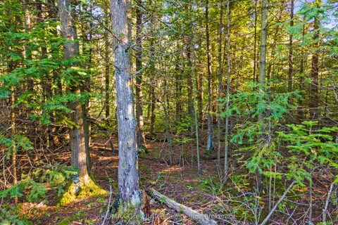 30 Huron Park Road, Northern Bruce Peninsula, ON N0H 1W0