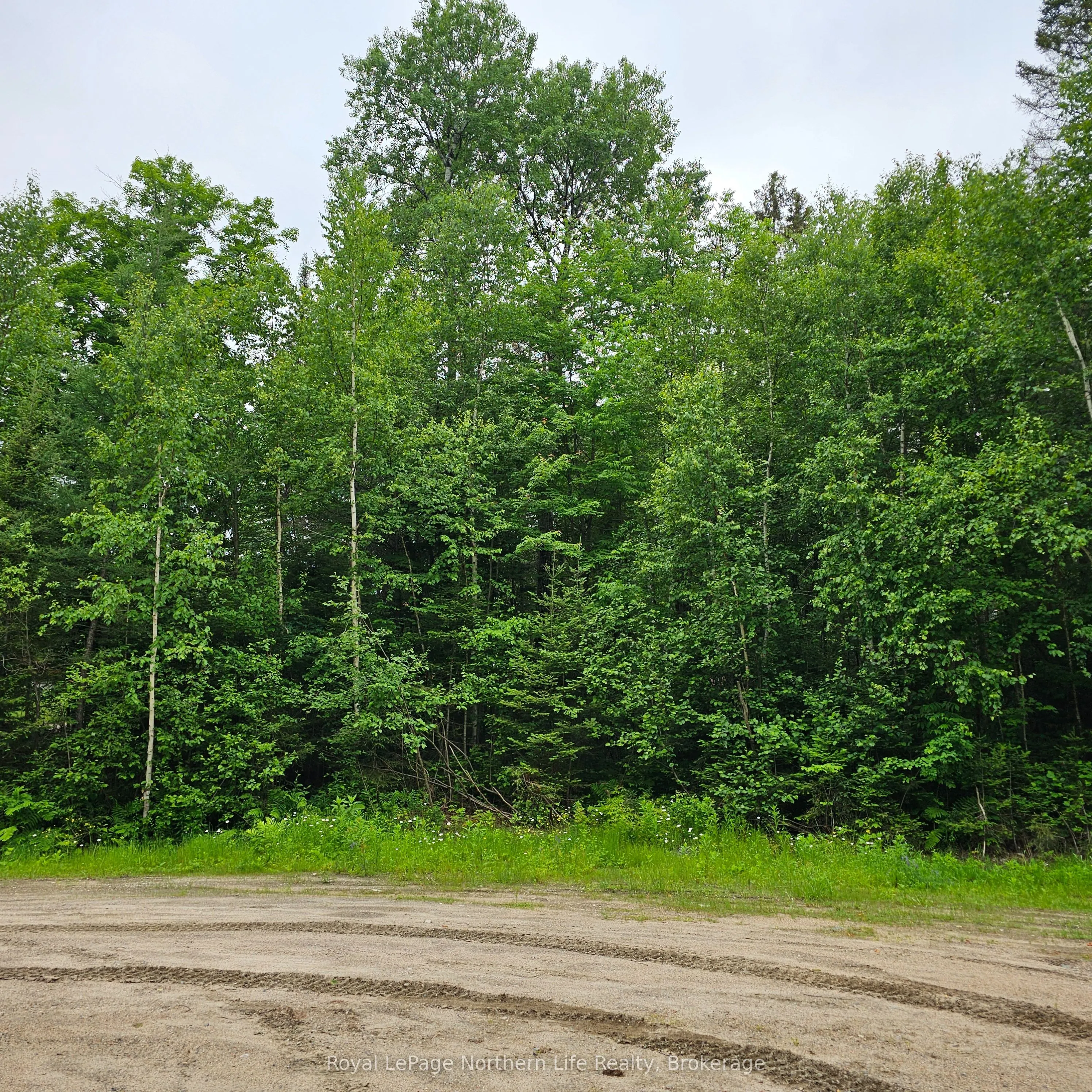 Lot 5 Arbutus Trail, Mattawan, ON P0H 1V0