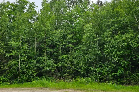 Lot 5 Arbutus Trail, Mattawan, ON P0H 1V0