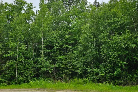 Lot 5 Arbutus Trail, Mattawan, ON P0H 1V0