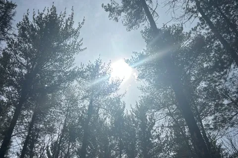 992 McGrath Road, Bonnechere Valley, ON K0J 1T0