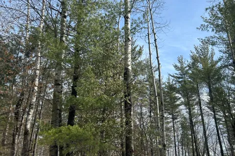 992 McGrath Road, Bonnechere Valley, ON K0J 1T0