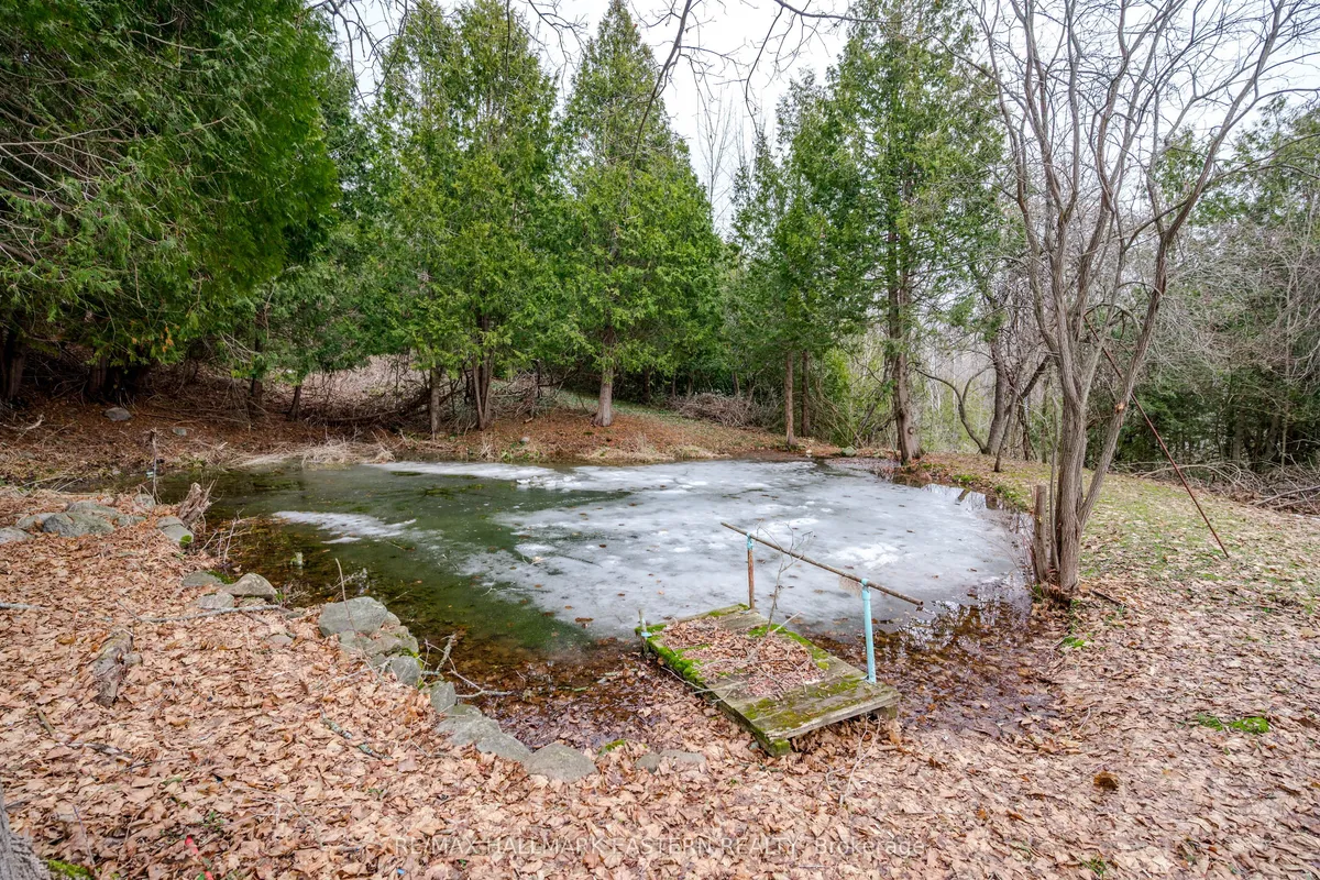 521 Concession Rd 8 N/A, ON K0L 1Y0