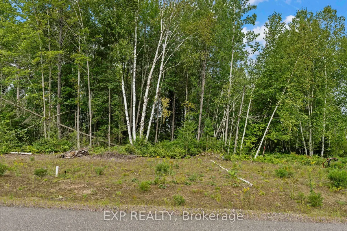 00Lot14 Birchview Drive, Madawaska Valley, ON K0J 1B0