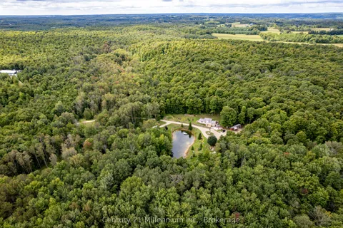 825173 Grey 40 Road, Grey Highlands, ON N0C 1H0