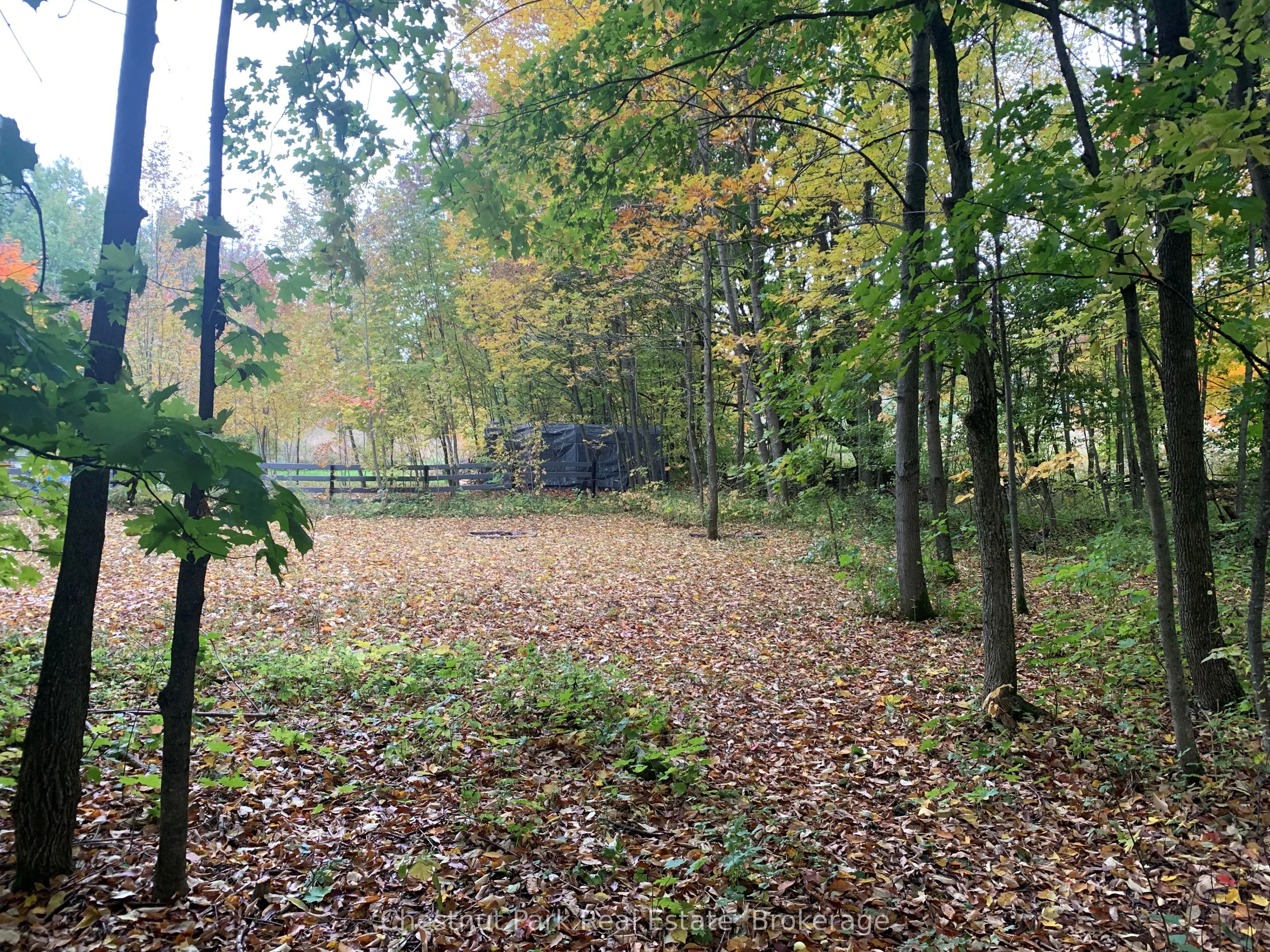 154 BOWLES BLUFF Road, Grey Highlands, ON N0C 1H0