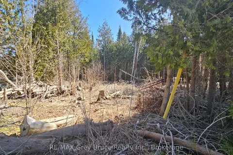 PT LT 23 Con 2 WBR PT 1 Highway 6 Highway, Northern Bruce Peninsula, ON N0H 1Z0