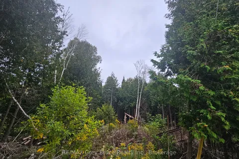 PT LT 23 Con 2 WBR PT 1 Highway 6 Highway, Northern Bruce Peninsula, ON N0H 1Z0