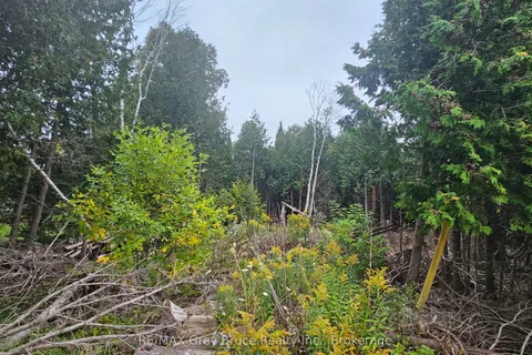 PT LT 23 Con 2 WBR PT 1 Highway 6 Highway, Northern Bruce Peninsula, ON N0H 1Z0