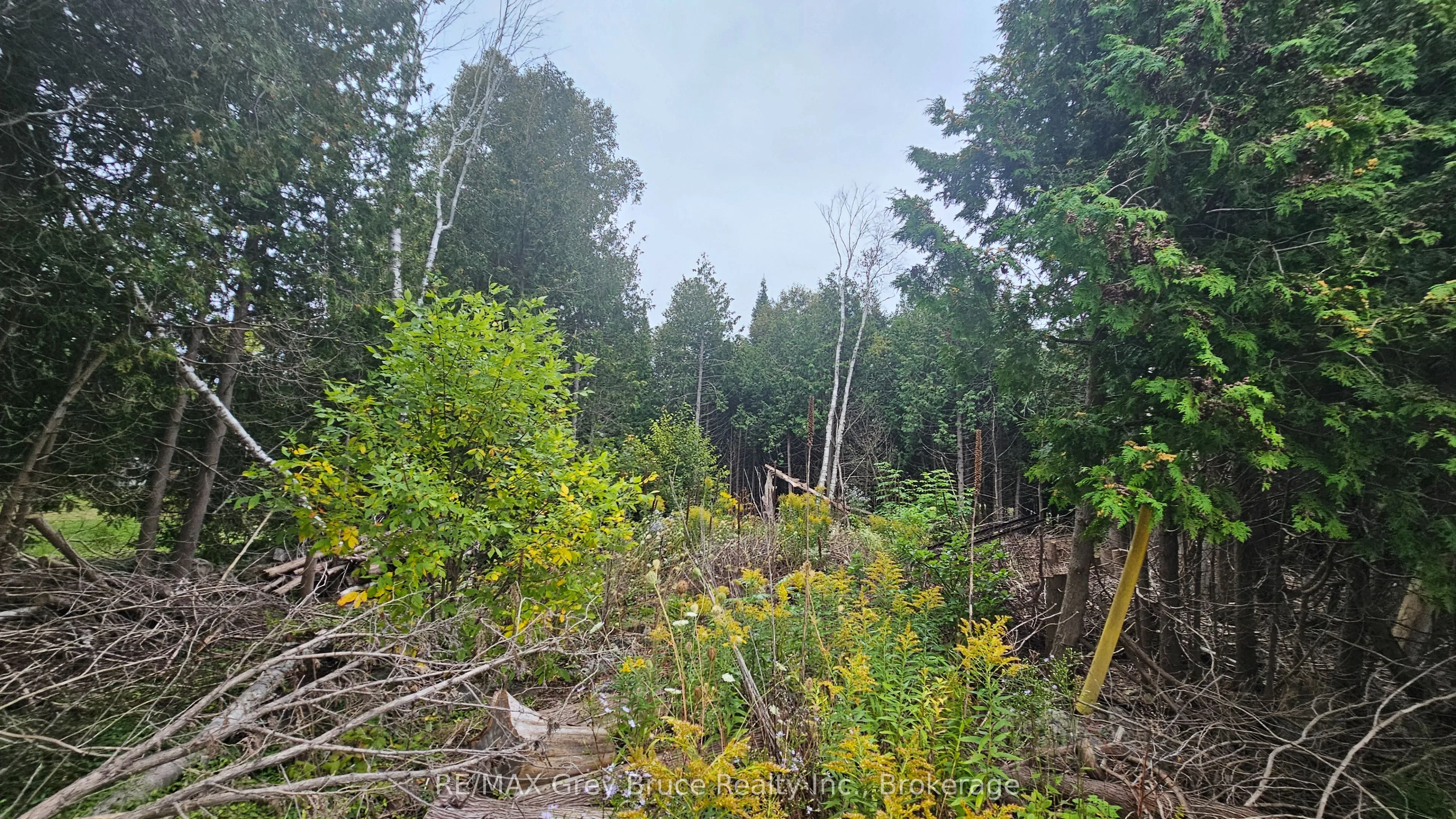 PT LT 23 Con 2 WBR PT 1 Highway 6 Highway, Northern Bruce Peninsula, ON N0H 1Z0