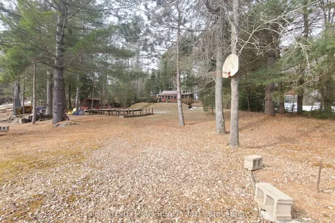 48 Carty Road, North Algona Wilberforce, ON K0J 1X0