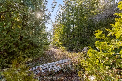 PART 10 FOX Trail, Northern Bruce Peninsula, ON N0H 1Z0