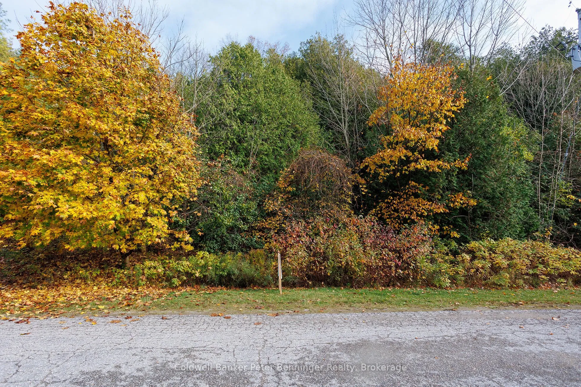 LT 17 PL 594 COURTNEY Court, ON N2Z 2X3