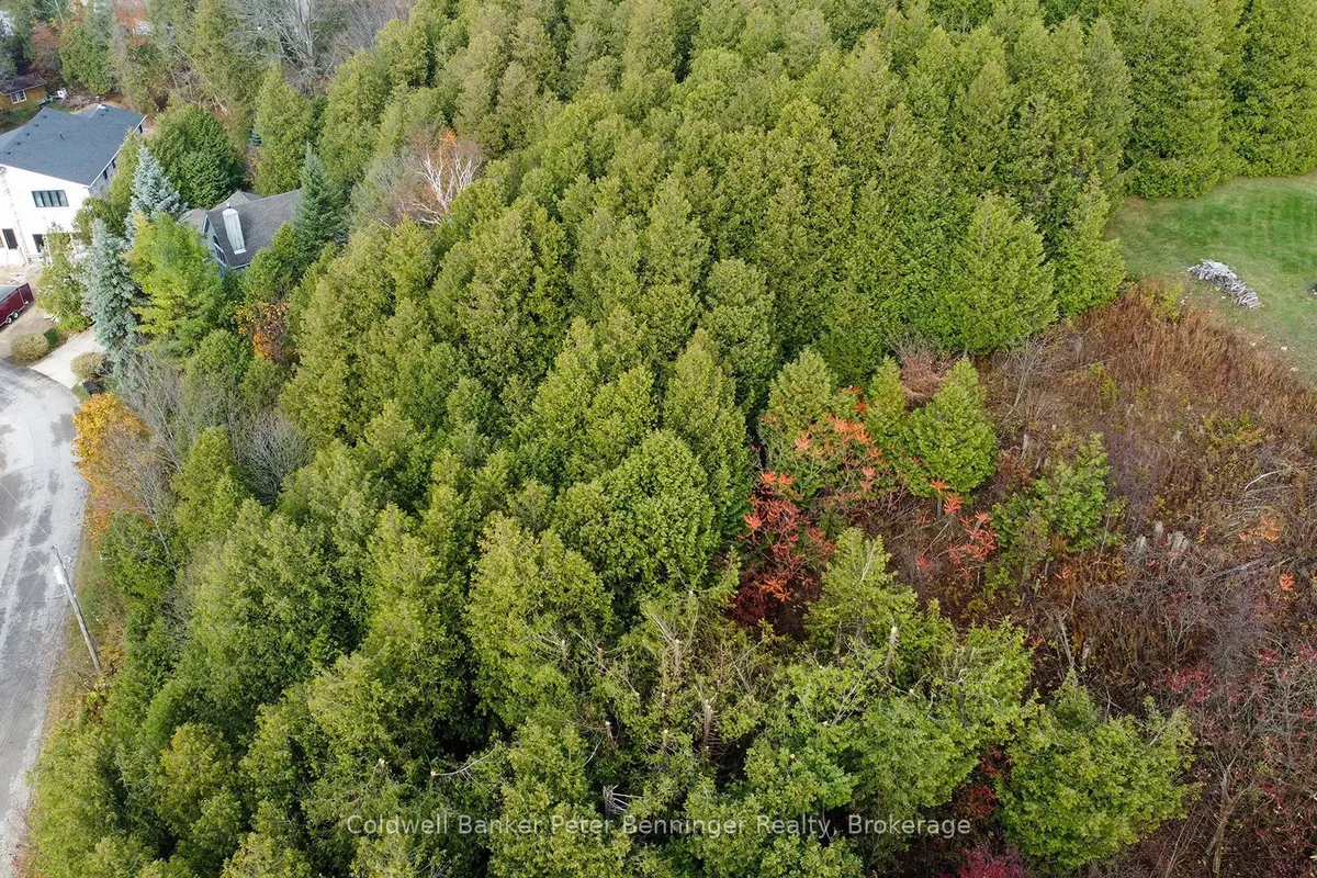 LT 17 PL 594 COURTNEY Court, ON N2Z 2X3