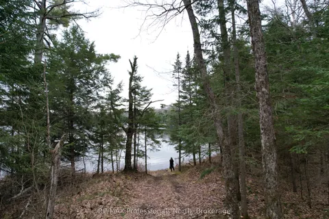 1022 Chetwynd Rd Road, Armour, ON P0A 1C0