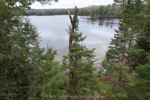 1022 Chetwynd Rd Road, Armour, ON P0A 1C0