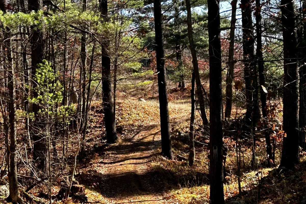 1390 STRUTHERS Road, Frontenac, ON K0H 1T0