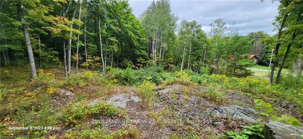 169 Northern Avenue, ON K0M 1A0