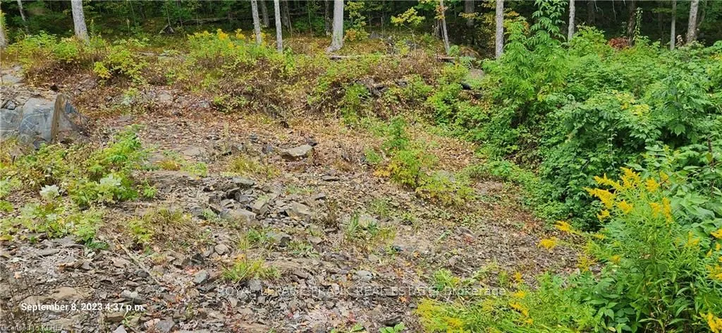 169 Northern Avenue, ON K0M 1A0