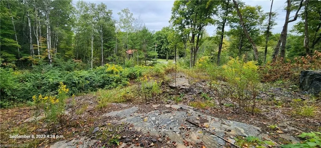 169 Northern Avenue, ON K0M 1A0