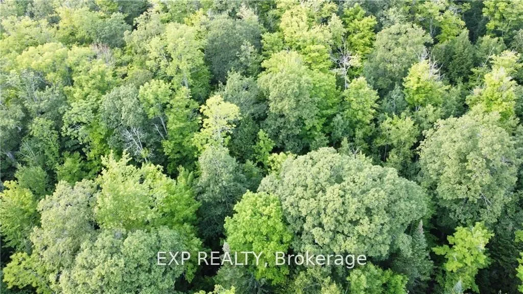 Lot A Chippawa Road, Madawaska Valley, ON K0J 1B0