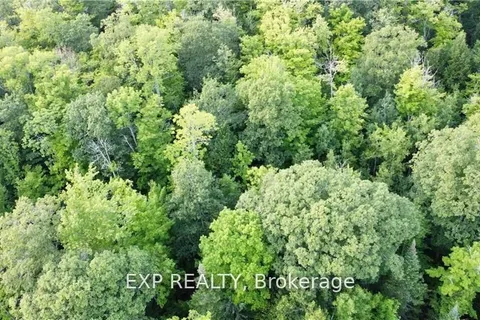 Lot A Chippawa Road, Madawaska Valley, ON K0J 1B0