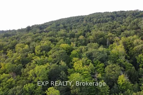 Lot A Chippawa Road, Madawaska Valley, ON K0J 1B0