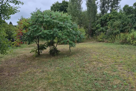 260 SIXTH Street, Mattawa, ON P0H 1V0