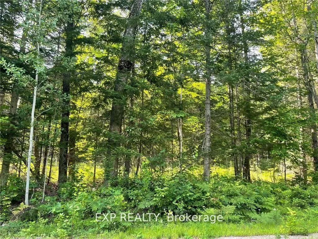 Lot B Chippawa Road, Madawaska Valley, ON K0J 1B0