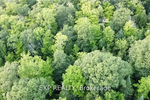 Lot B Chippawa Road, Madawaska Valley, ON K0J 1B0