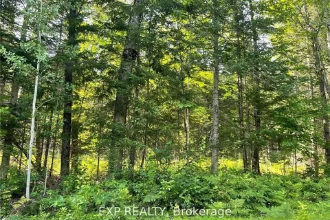 Lot B Chippawa Road, Madawaska Valley, ON K0J 1B0