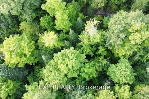 Lot B Chippawa Road, Madawaska Valley, ON K0J 1B0