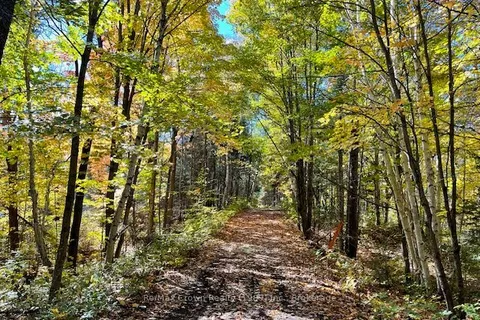 558A Old Nipissing Road, Parry Sound Remote Area, ON P0H 1J0
