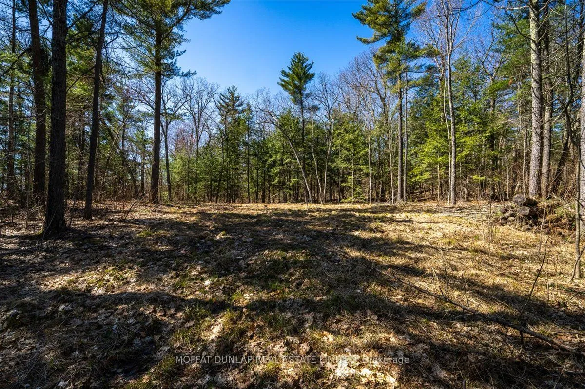 24 Webber Island N/A, ON P0E 1E0