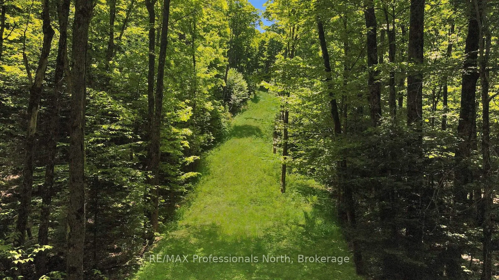 Lot 165 Glen Lake Court, Dysart et al, ON K0M 1M0