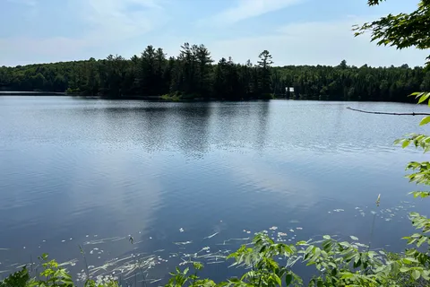 0 BRADY LAKE Road, Minden Hills, ON K0M 2K0