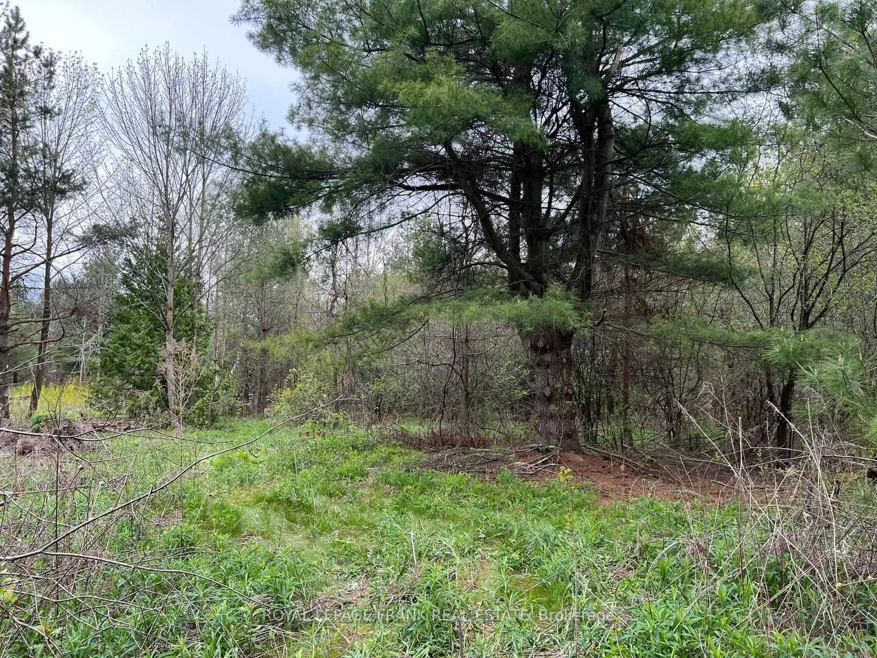 . Rutherford Road, Alnwick/Haldimand, ON K0K 1S0