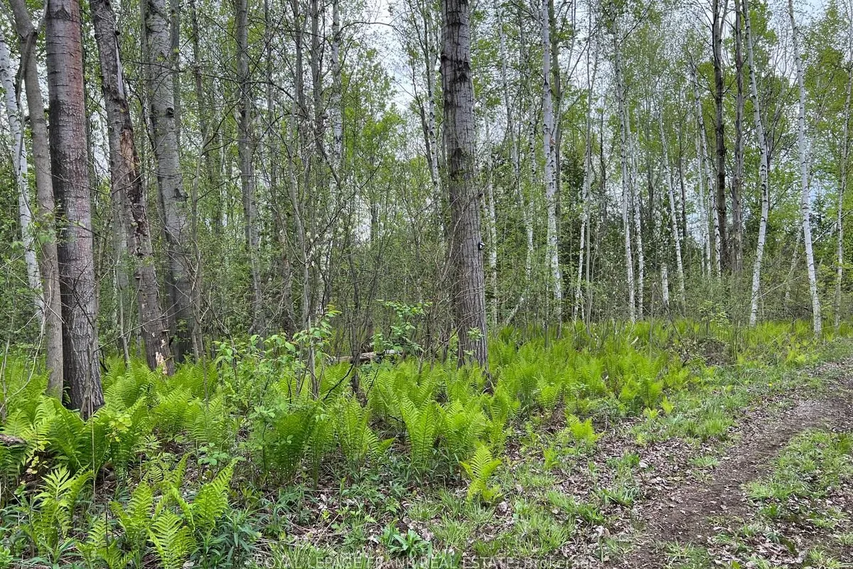 . Rutherford Road, Alnwick/Haldimand, ON K0K 1S0