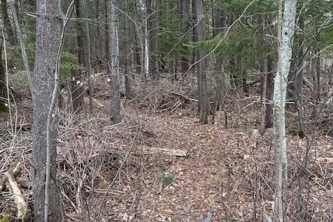 642-647 Toronto Street, Callander, ON P0H 1H0