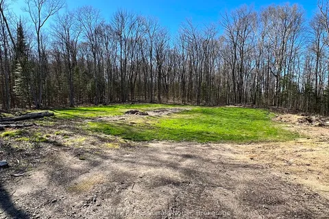 1199 Cedar Lake Road, Highlands East, ON K0L 3C0