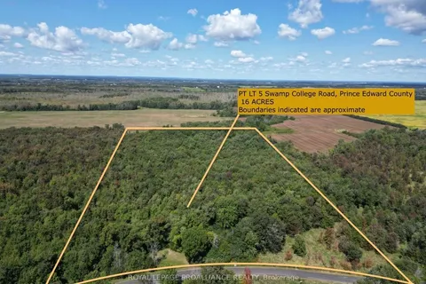 PT LT 5 Swamp College Road, Prince Edward County, ON K0K 2J0