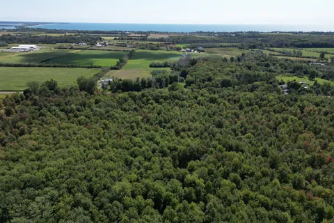 PT LT 5 Swamp College Road, Prince Edward County, ON K0K 2J0