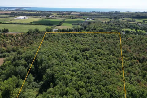 PT LT 5 Swamp College Road, Prince Edward County, ON K0K 2J0