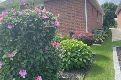 18 Jones Crescent, Tillsonburg, ON N4G 5X5
