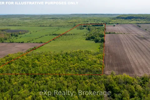 PTLT 29 CON 1S, St. Vincent-Sydenham Townline N/A, ON N0H 1B0